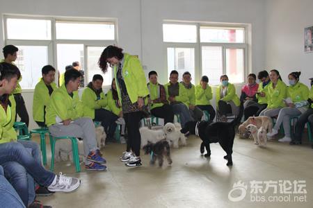 宠物<em>美容师</em>职业<em>前景</em>怎么样 - 东论广场- 东论 东