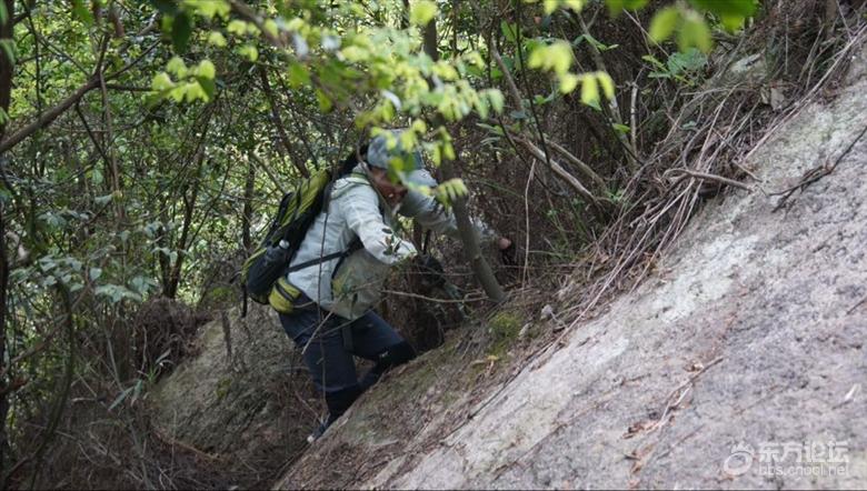 4.26号快看爬石头山,一个人上吊了, [复制]